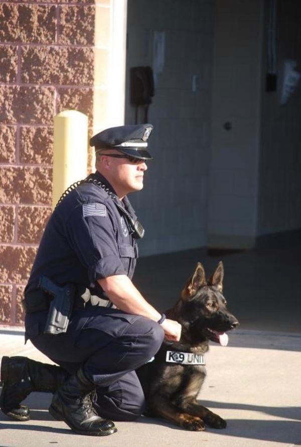 K9 Kozmo
